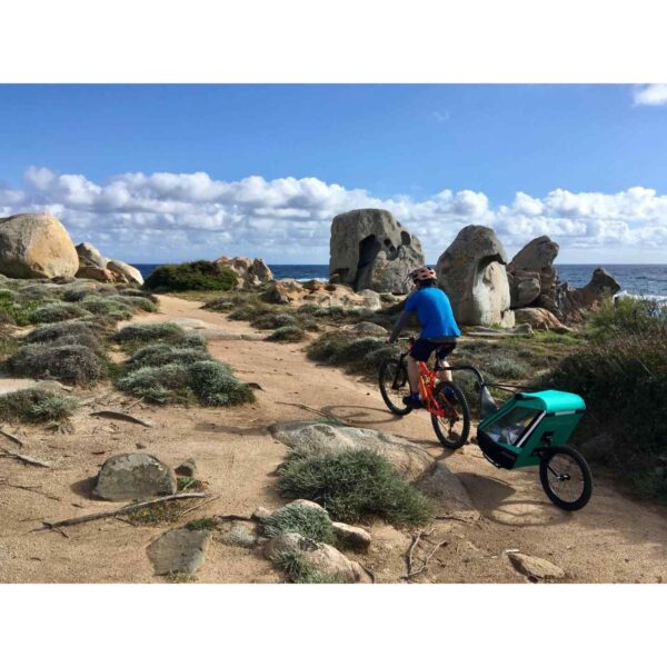Tout Terrain Remorque pour Vélo pour 1 Enfant - Singletrailer II Sport - caribbean green – Image 11